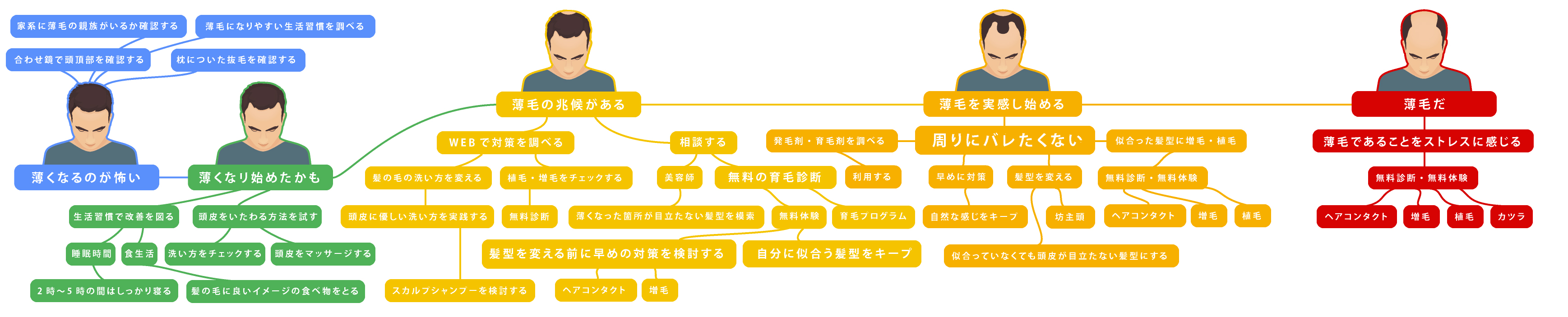 薄毛マインドマップ