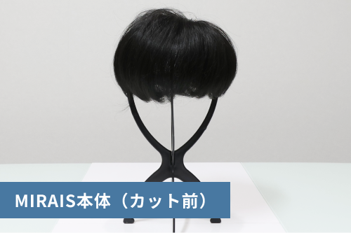 ミライズ本体のカット前の写真。長めのミライズが台座に置かれている。